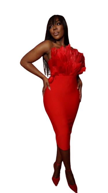 Dylan and Davids Bodycon Bandage Short-Length Feather Formal Dress - RED - FRONT
