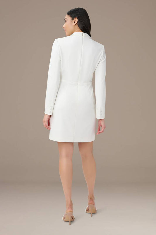 Formal Occasion Dress Adrianna Papell AP1D104876