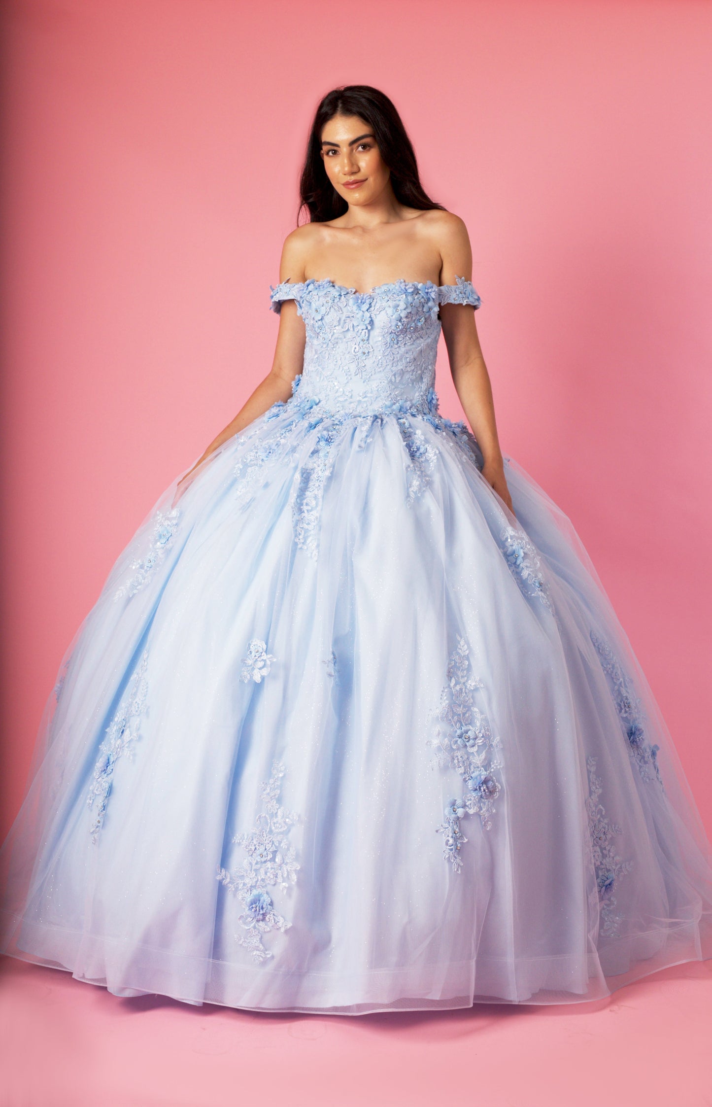 Quinceniera Dresses Long Ball Gown Quinceanera Floral Dress Baby Blue