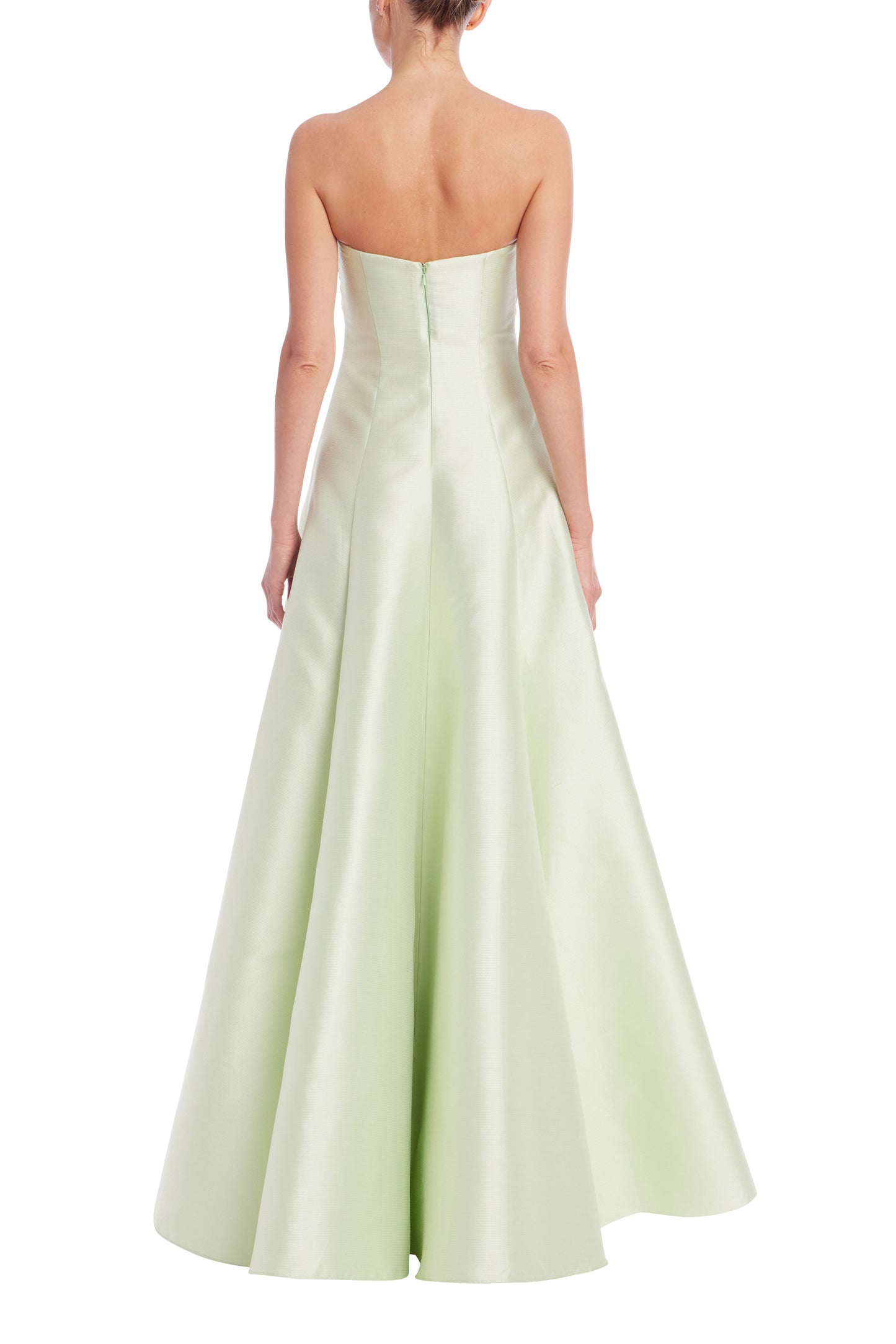 EG4471_SPEARMINT_back