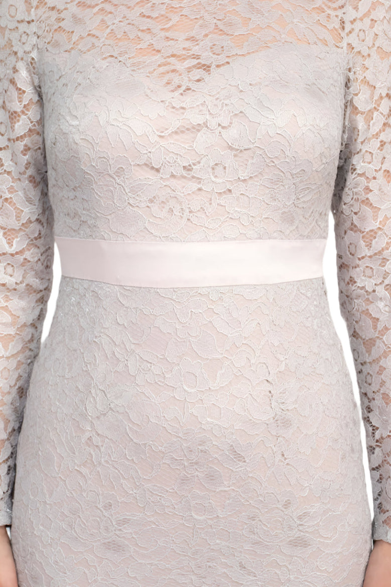 Adrianna Papell Crew Neck Long Sleeve Illusion Embellished Keyhole Zipper Back Lace Dress - ICY LILAC - Neck View