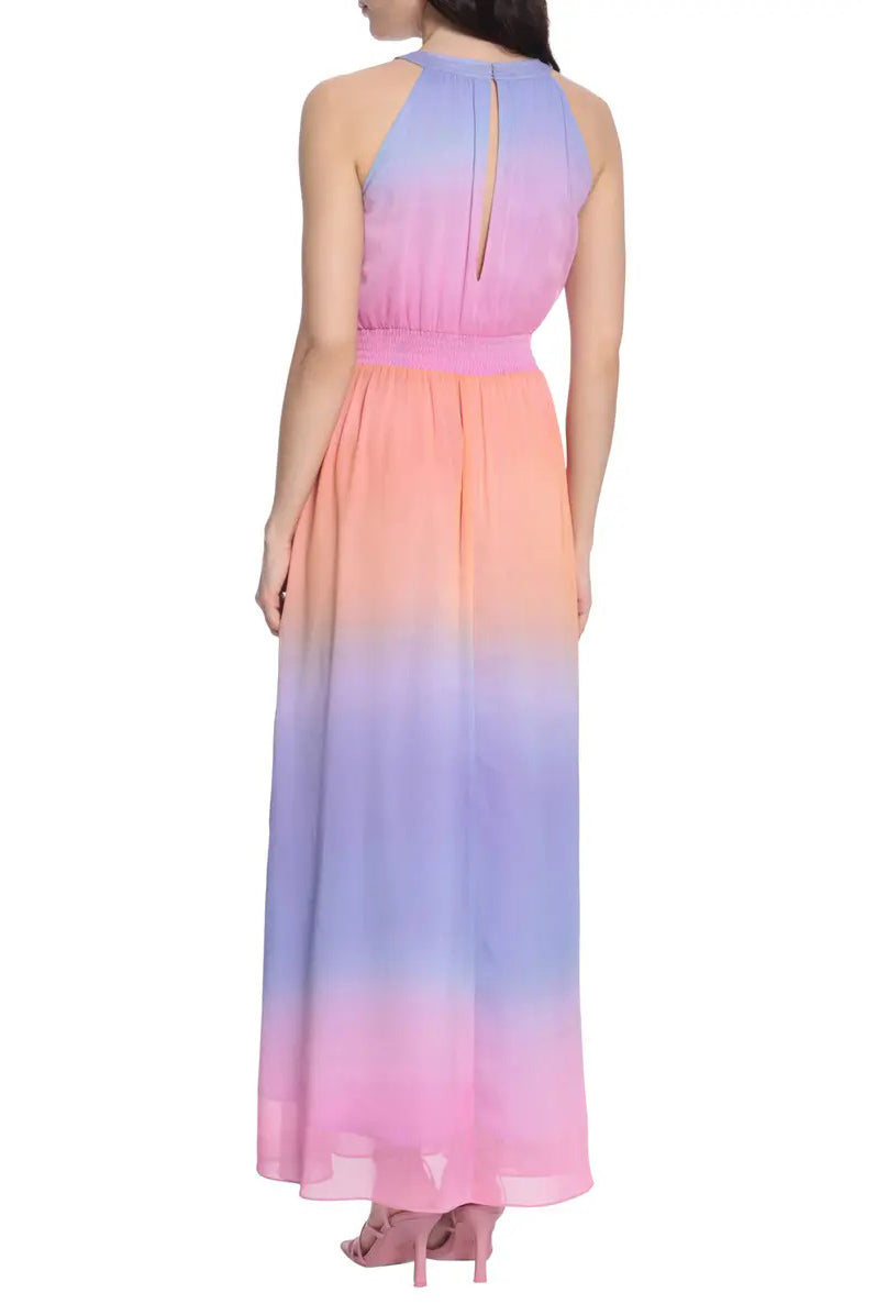 Donna Morgan Halter Neck Sleeveless Back Zipper Long Chiffon Maxi Dress - PINK MULTI - Back