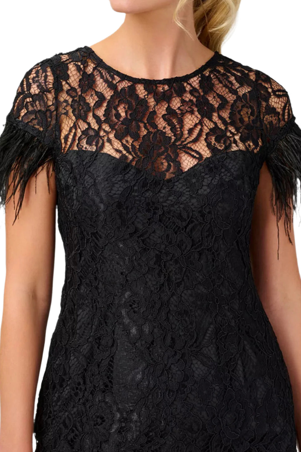 Aidan Mattox Crew Neck Short Feather Sleeves Back Zipper Mini Lace Dress - BLACK - Fabric
