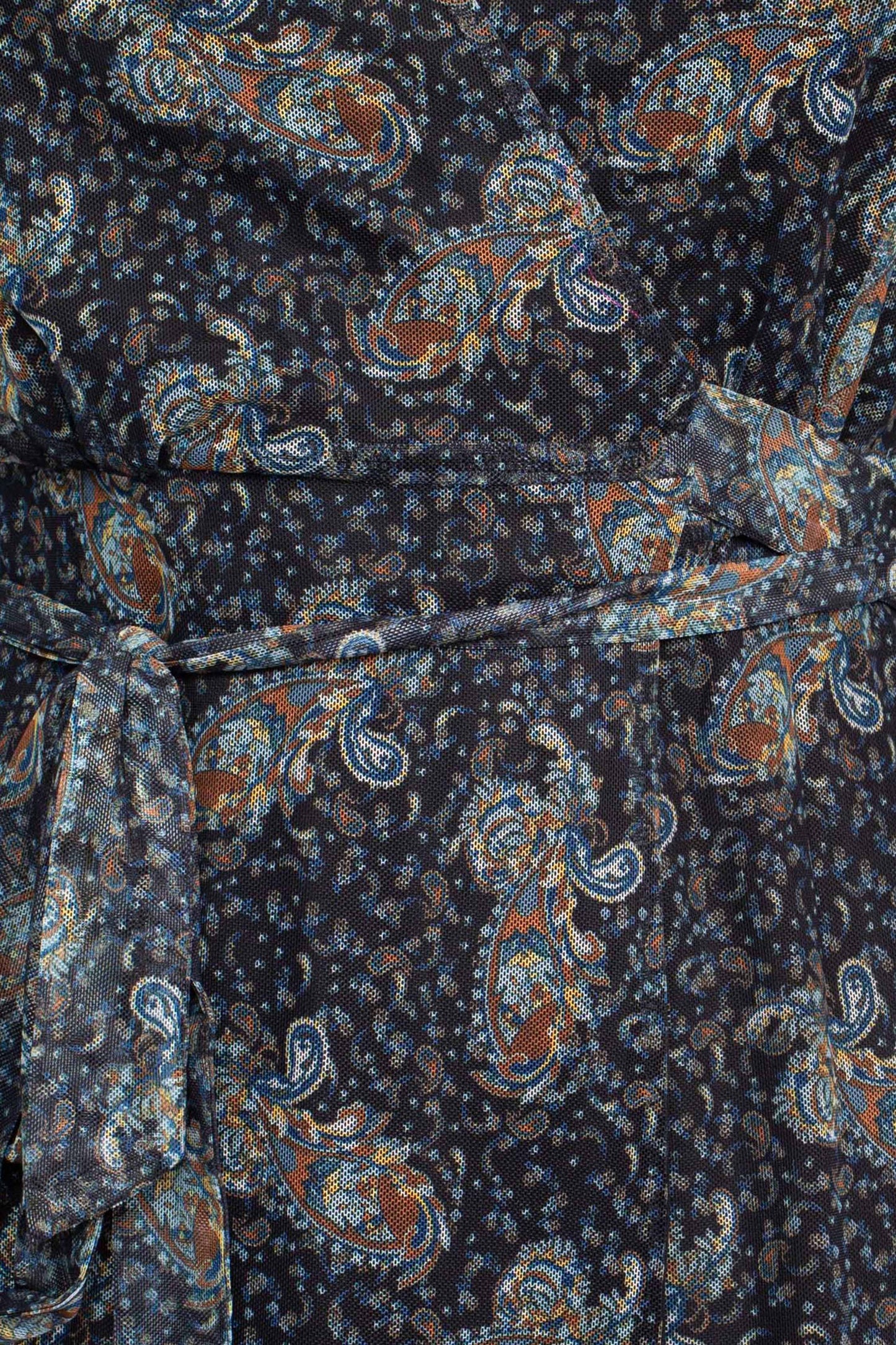 Sage Collective V-Neck Long Sleeve Tie Waist Paisley Print Power Mesh Dress - BLACK MULTI - Fabric