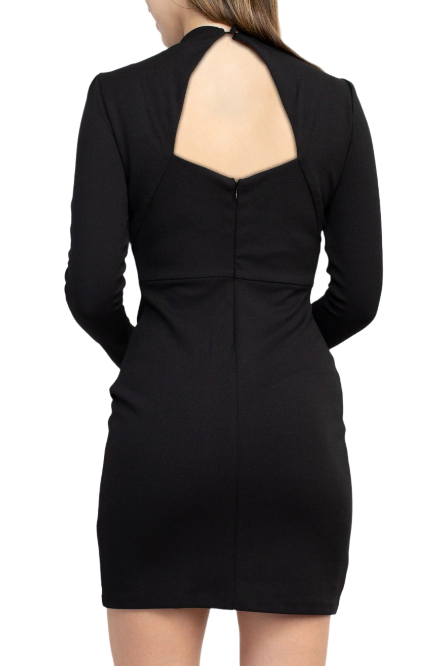 Sage Collective Crew Neck Long Sleeve Bodycon Cutout Zipper Back Solid Clipped Chiffon Dress - BLACK - Back