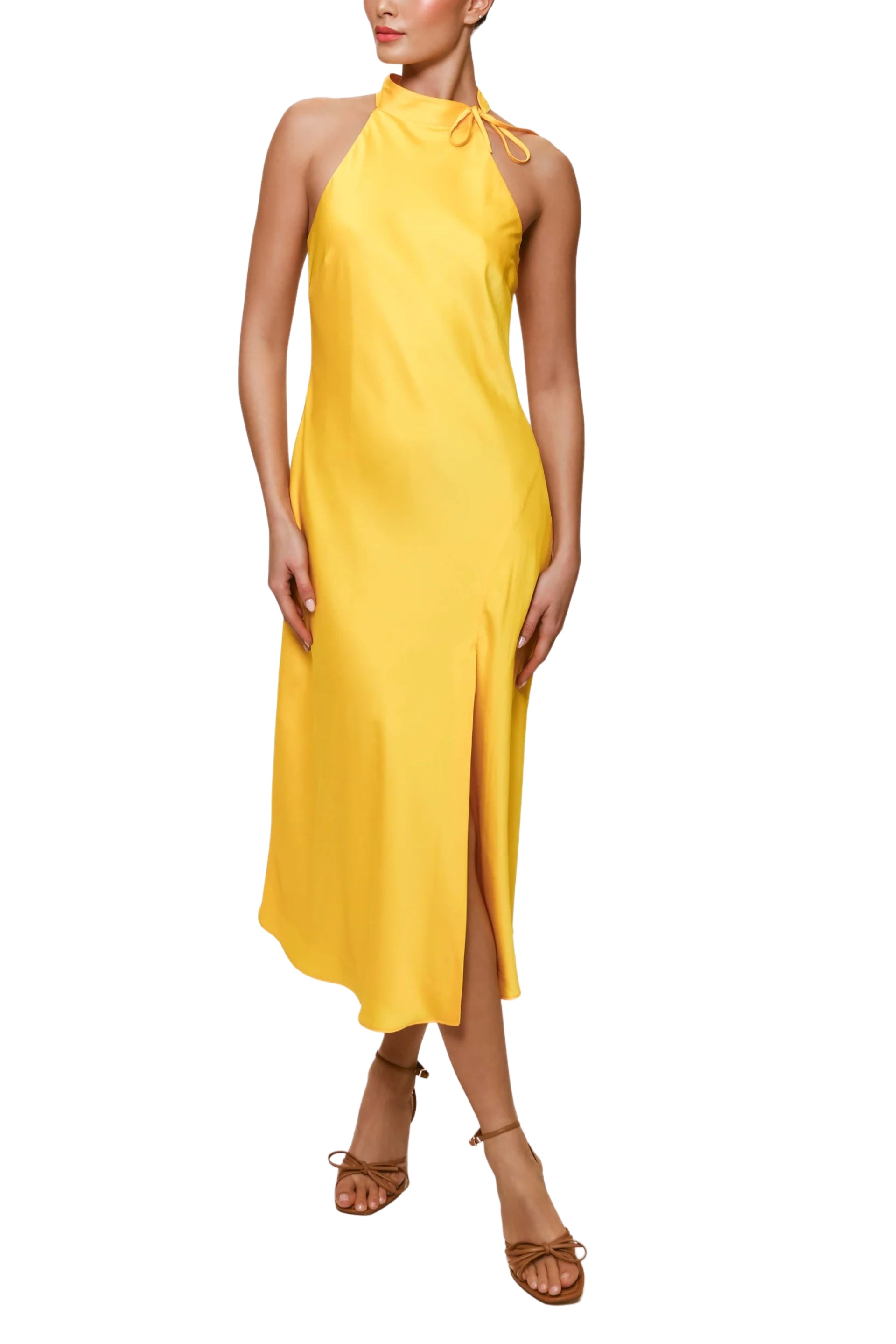 11419_DAFFODIL_front