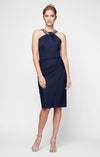 Short Sheath Contour Collection Dress Alex Evenings 134165