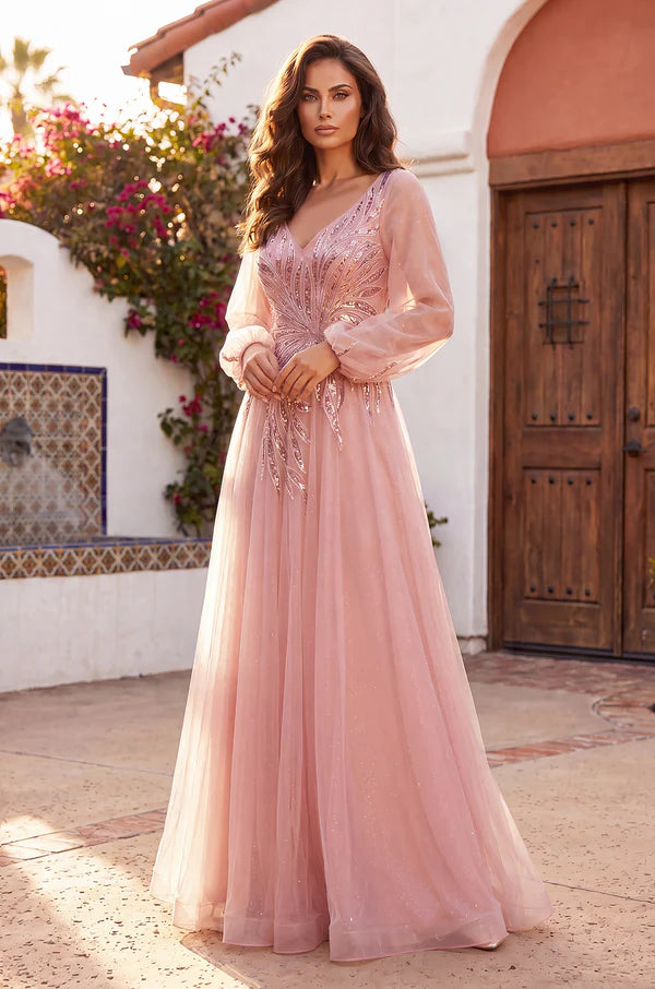 V Neck Floor Length Sleeve Formal Evening Dress
