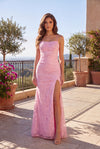 Long Open Back Sexy Prom Dress