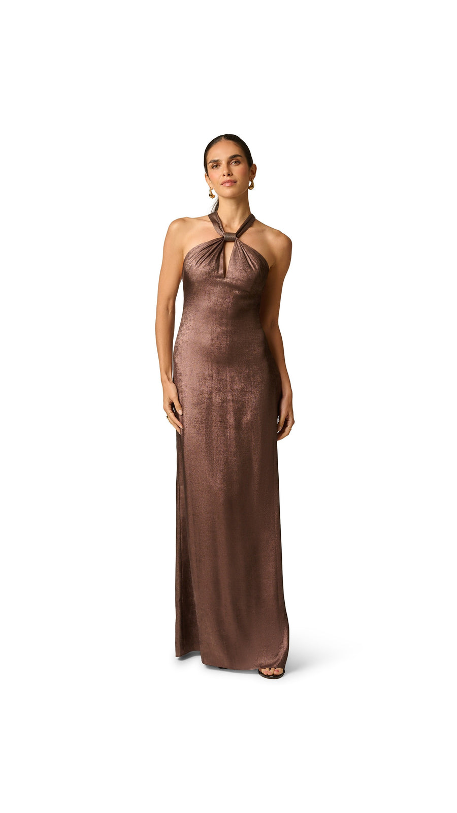 Adrianna Papell Foiled Chiffon Long Dress 213610 Wholesale