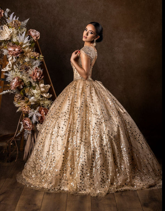 Floor Length Quinceanera Dress Ball Gown