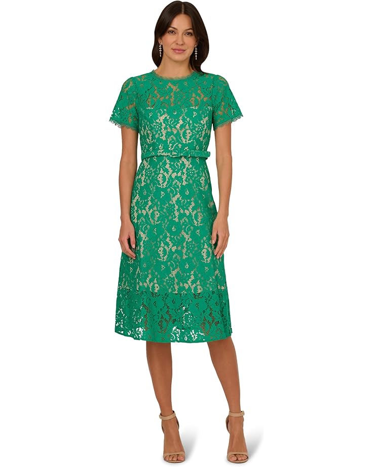 Scoop Neck Knee-Length Lace Gown with Belted Waist Cocktail Dress Adrianna Papell AP1D105764