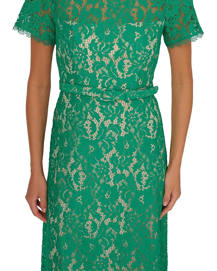 Scoop Neck Knee-Length Lace Gown with Belted Waist Cocktail Dress Adrianna Papell AP1D105764