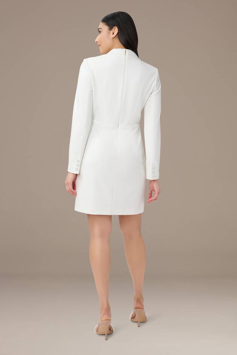 Formal Occasion Dress Adrianna Papell AP1D104876