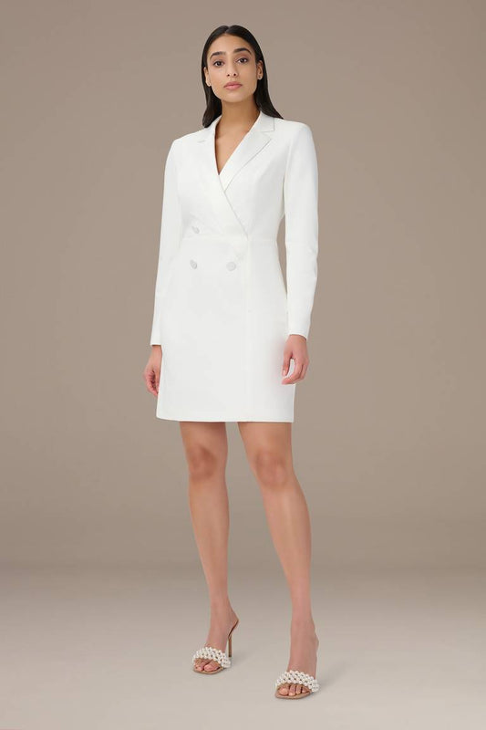 Formal Occasion Dress Adrianna Papell AP1D104876