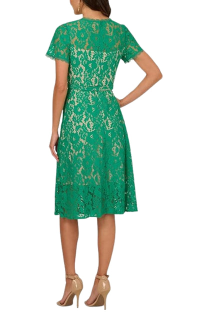 AP1D105764_BOTANIC GREEN_back