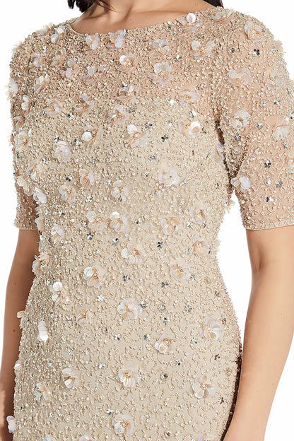 Adrianna Papell Boat Neck Short Sleeves Back Zipper Knee Length Beaded Dress