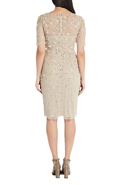 Adrianna Papell Boat Neck Short Sleeves Back Zipper Knee Length Beaded Dress - BISCOTTI - Back