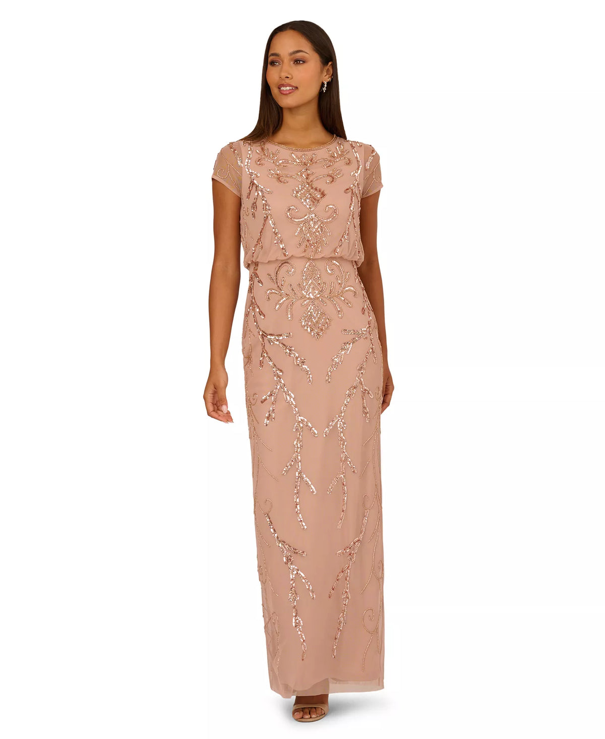 Formal Occasion Dress Adrianna Papell AP1E21724
