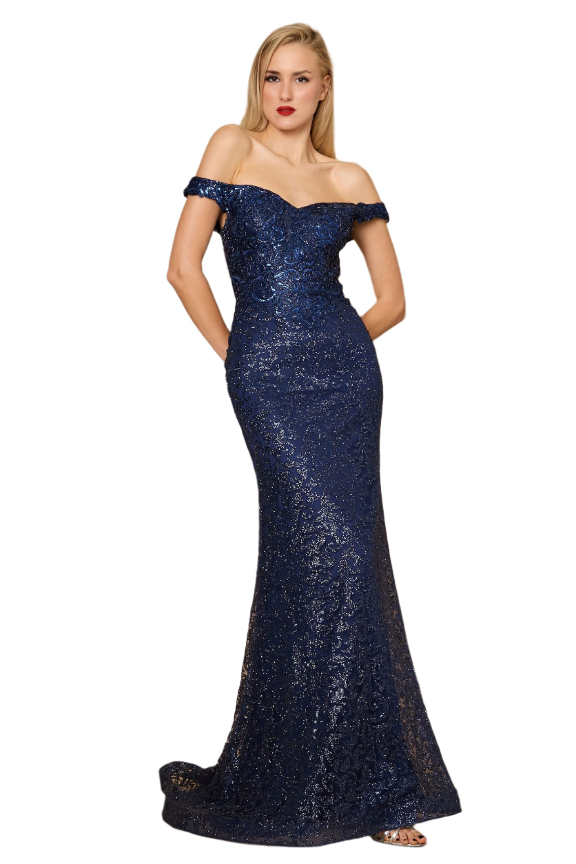 Dylan and Davids Formal Mermaid Gown Fitted Evening Dress - NAVY - Front