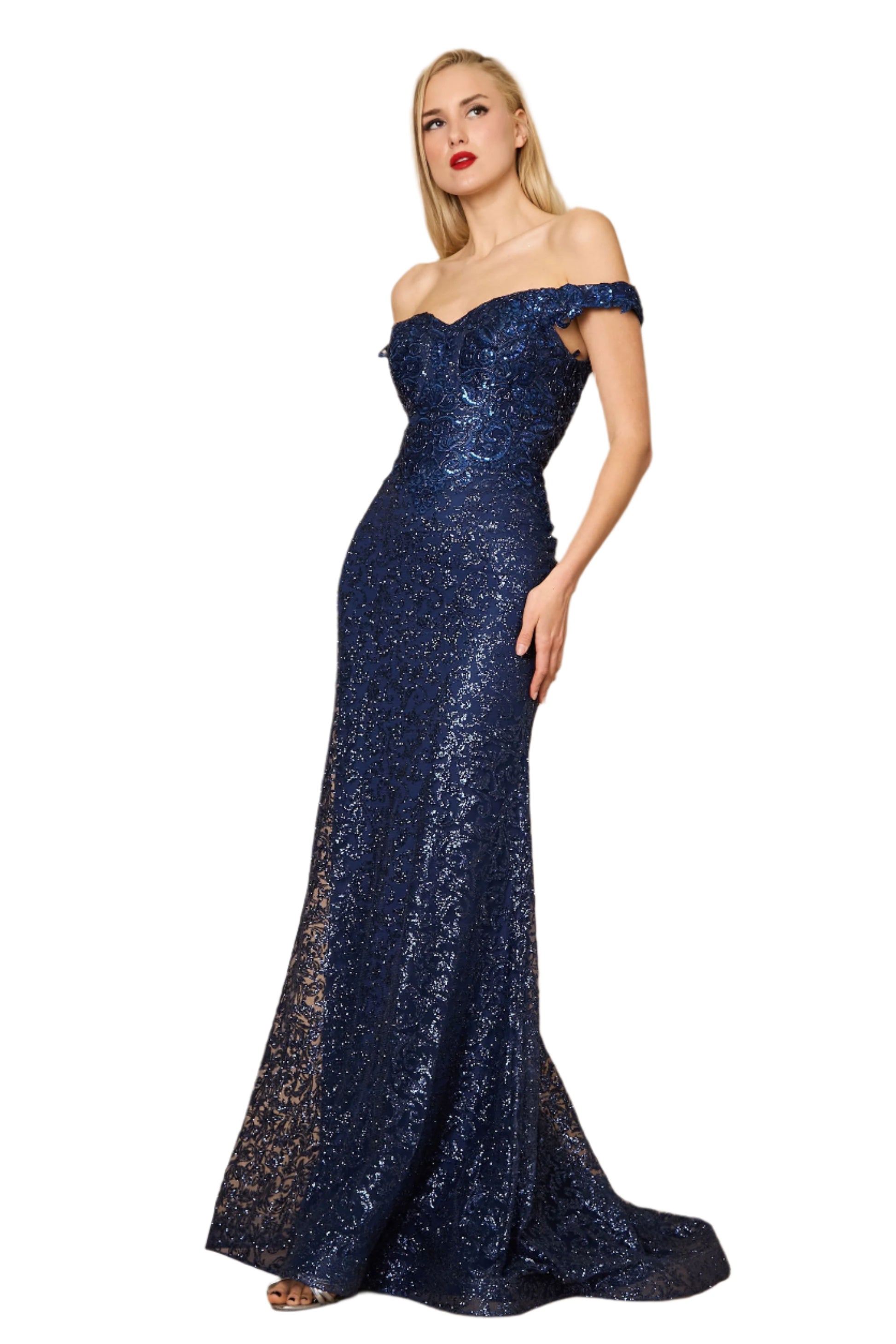 Dylan and Davids Formal Mermaid Gown Fitted Evening Dress - NAVY - Side