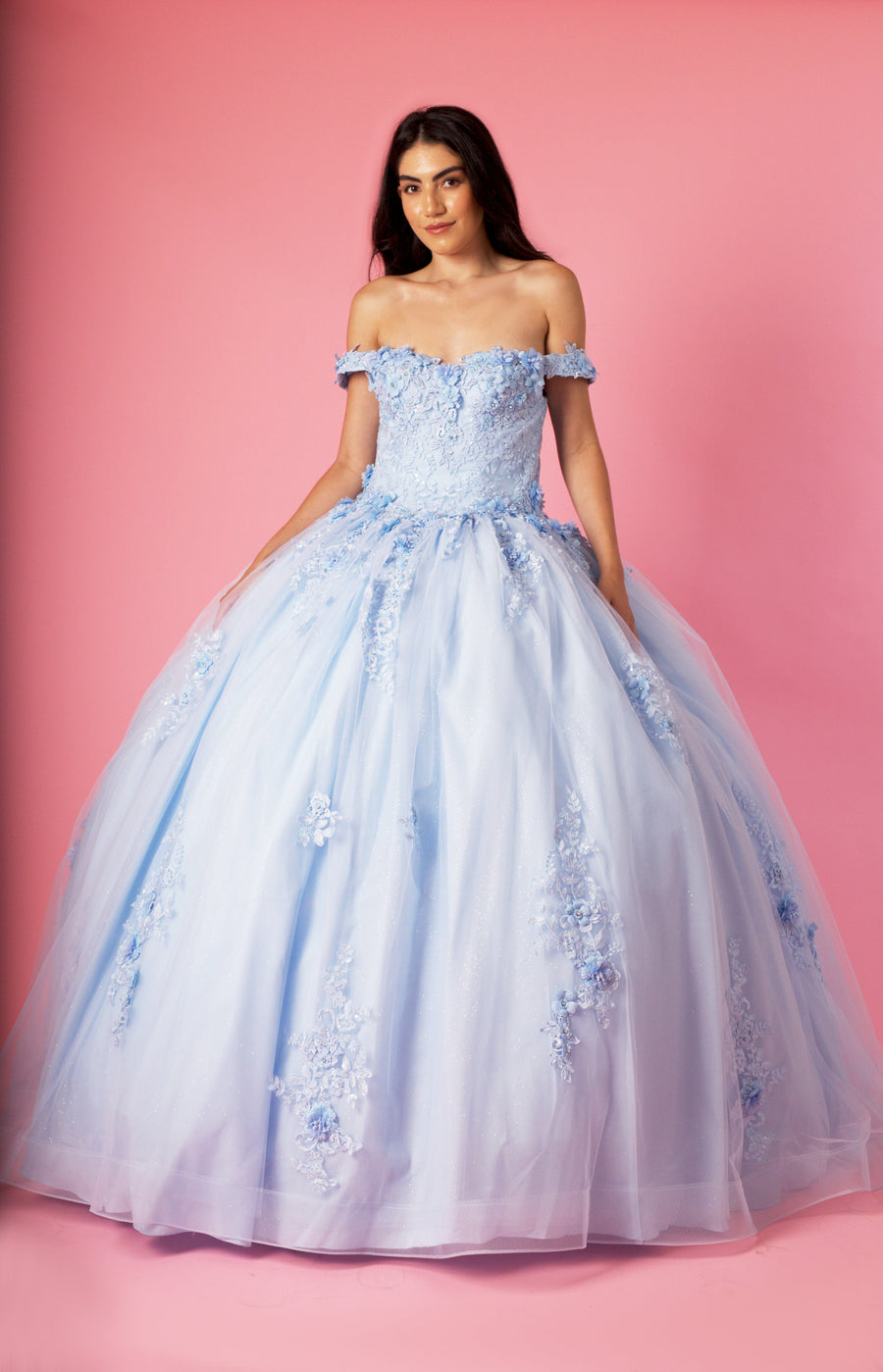 Quinceniera Dresses Long Ball Gown Quinceanera Floral Dress Baby Blue