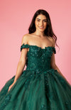 Floor Length Ball Gown Quinceanera Floral Dress
