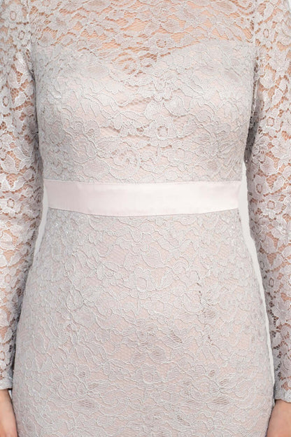 Adrianna Papell Crew Neck Long Sleeve Illusion Embellished Keyhole Zipper Back Lace Dress - ICY LILAC - Neck View